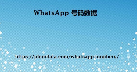 WhatsApp 号码数据