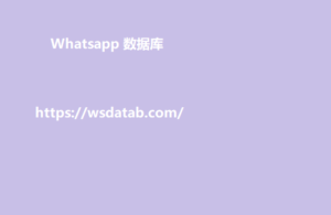 Whatsapp 数据库